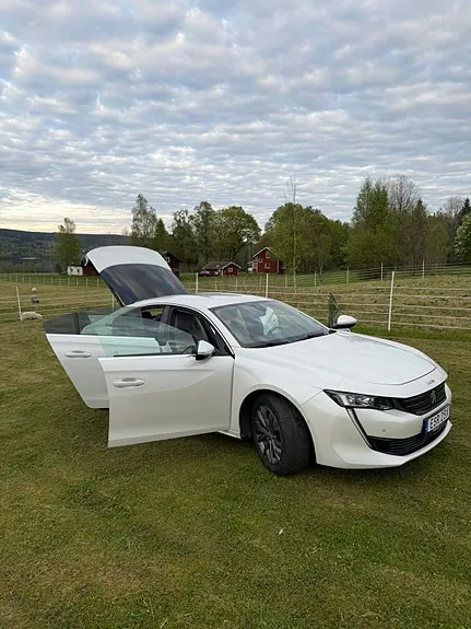 Peugeot 508 2020 photo 5