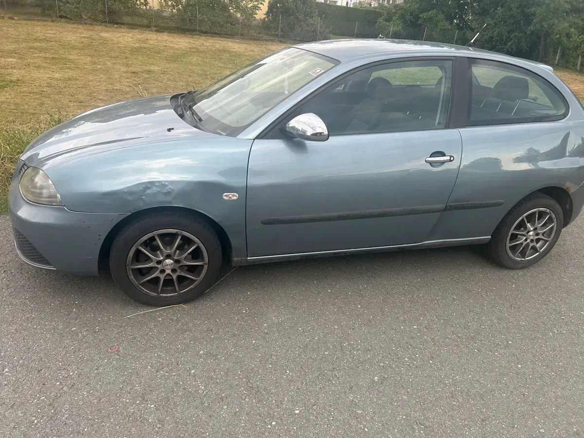 Seat Ibiza 2007 photo 2