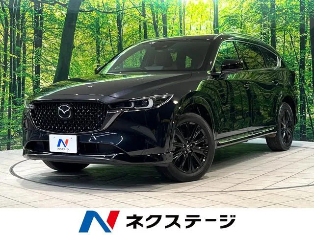 Mitsubishi Cx-8