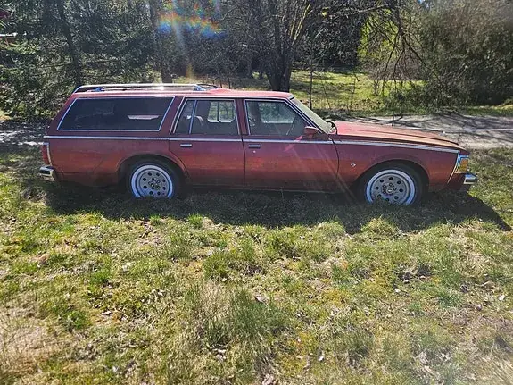 Chevrolet Caprice 1978 photo 3