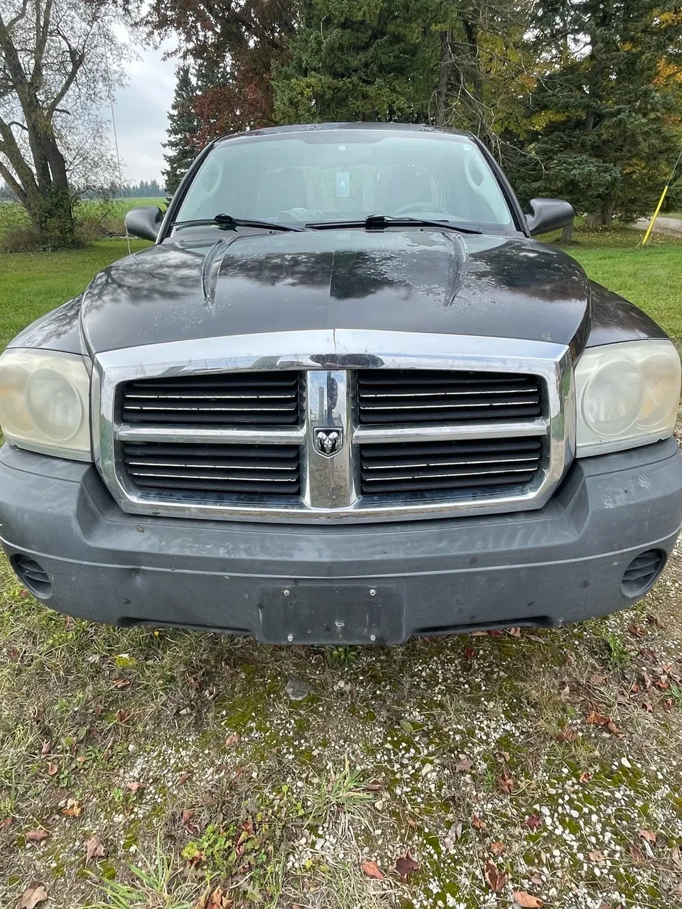 Dodge Dakota