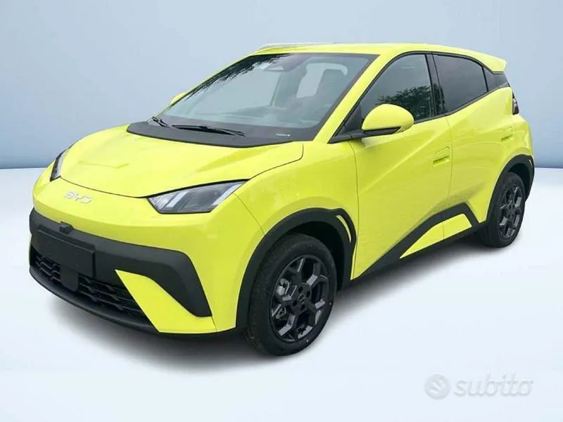 BYD Dolphin Surf
