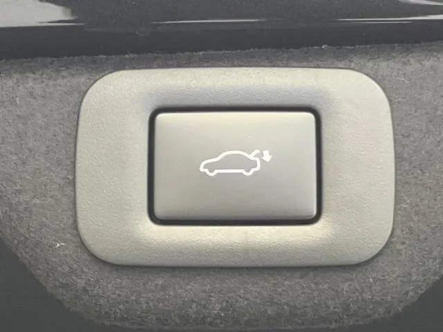 Lexus Es300H 2019 photo 5