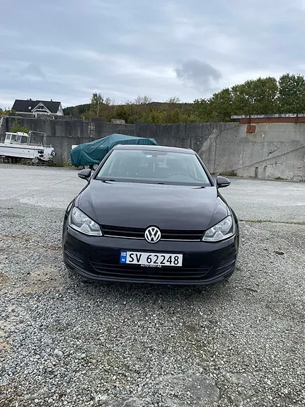 Volkswagen Golf Vii 2015 photo 4