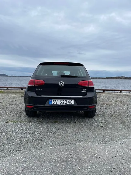 Volkswagen Golf Vii 2015 photo 5