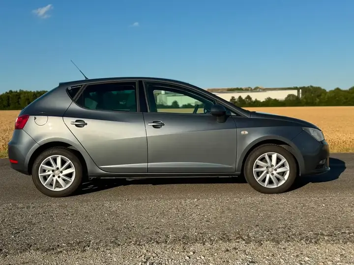 Seat Ibiza 2013 photo 3