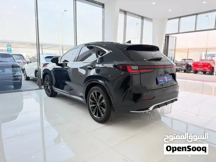 Lexus Nx 350 2024 photo 3