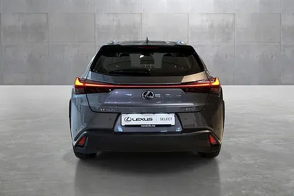 Lexus Ux300E 2021 photo 4