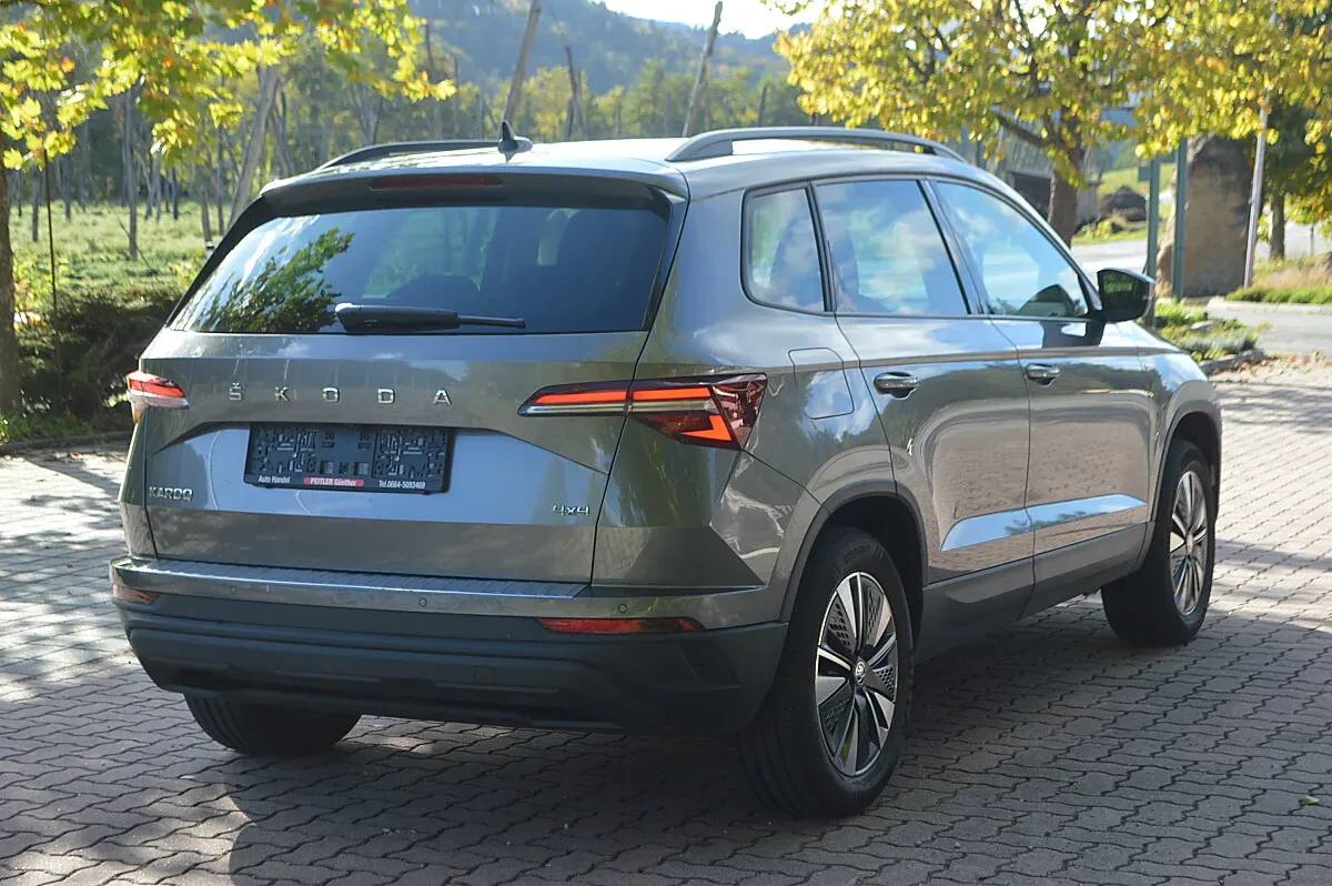 Skoda Karoq 2023 photo 3