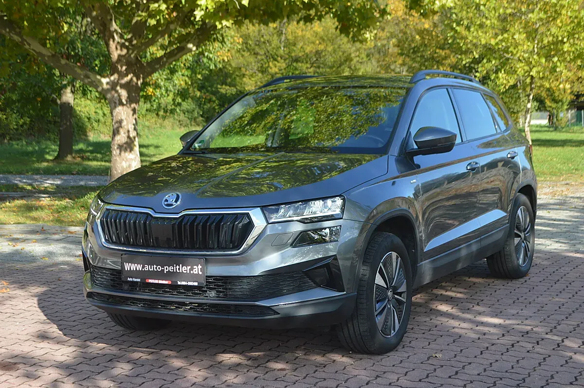 Skoda Karoq 2023 photo 2