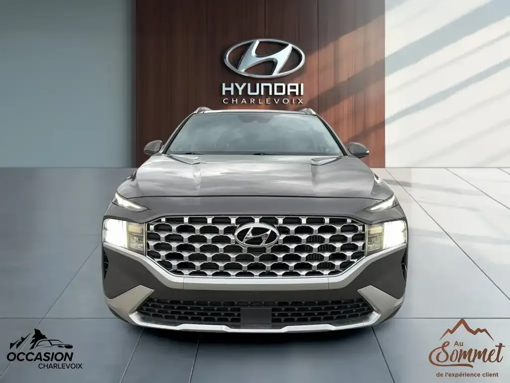 Hyundai Santa Fe 2021 photo 2