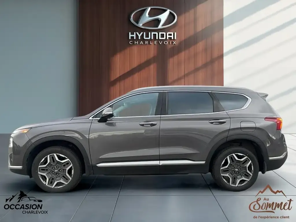 Hyundai Santa Fe 2021 photo 4